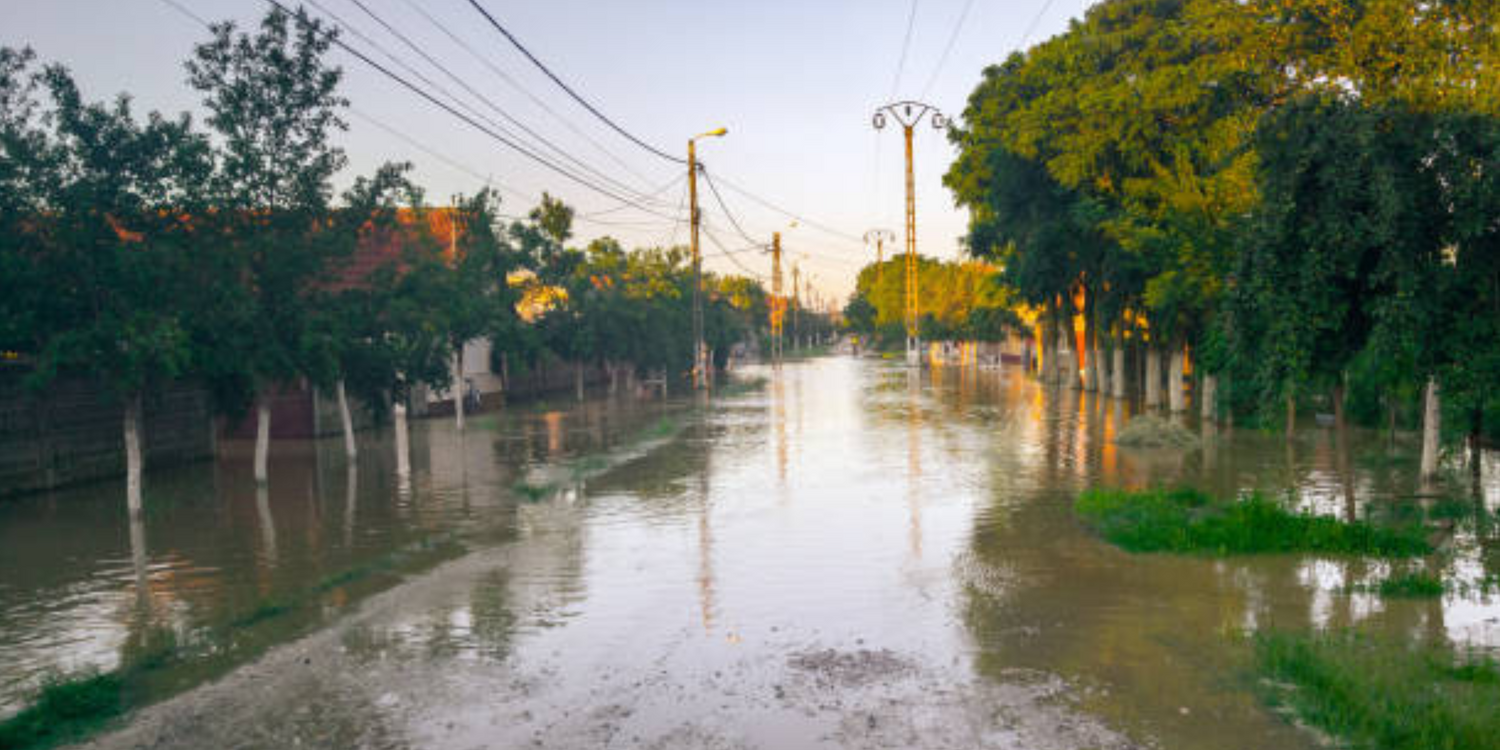 Inondations : l'Ouest de la Roumanie touché