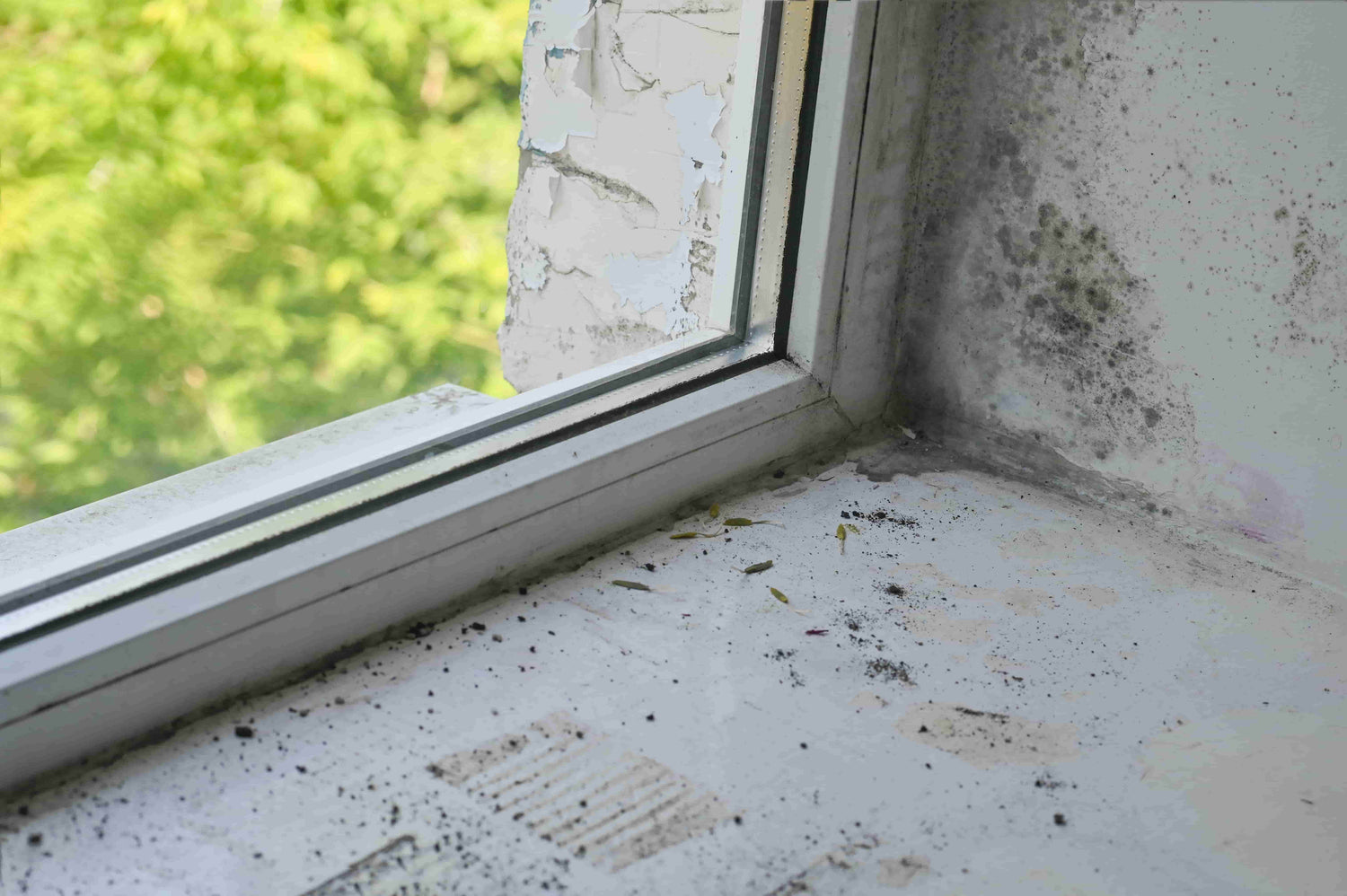 humidité fuite appui de fenêtre