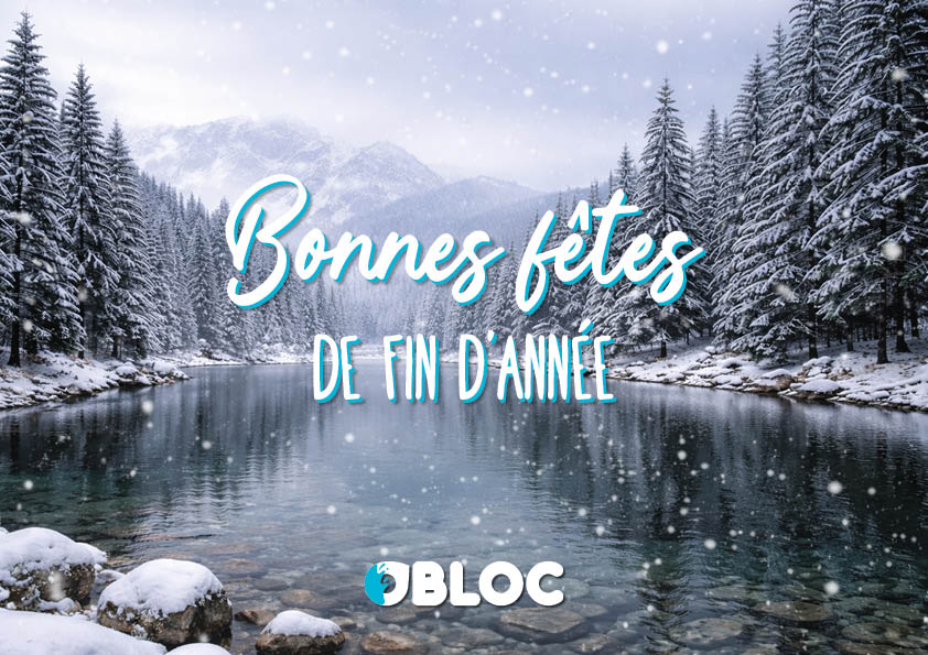 Bonnes fêtes de fin d'année